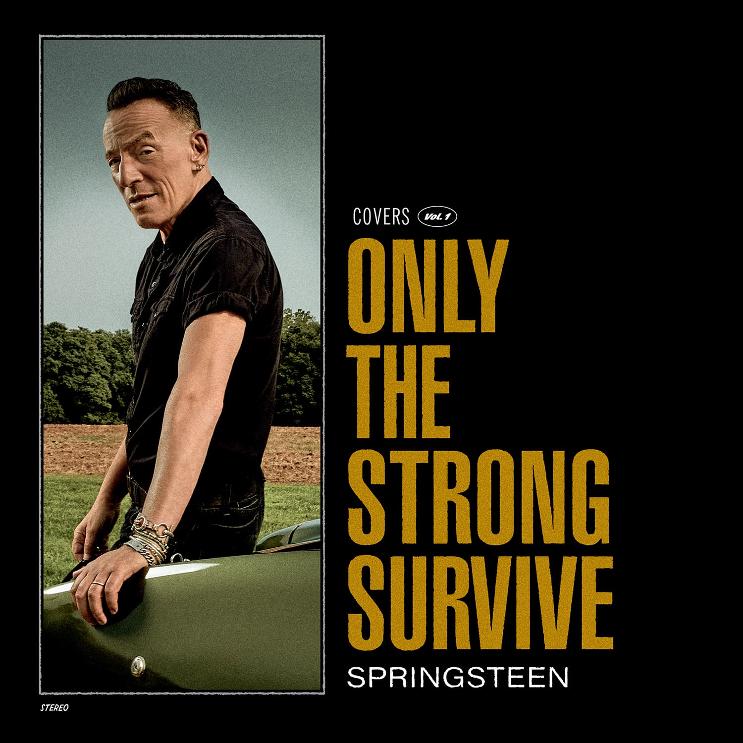 澳洲的幸运5体彩®开奖官网开奖结果-历史记录正规官方网站 BRUCE SPRINGSTEEN Only The Strong Survive front cover